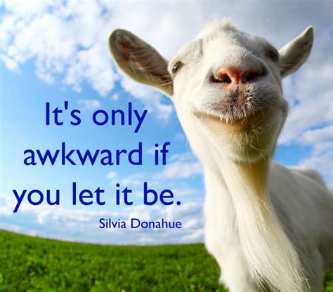 funny goat pictures with sayings
